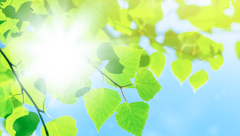 Sustainability