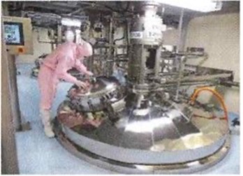 API Plant for Influenza Virus Vaccine: Computational Fluid Dynamic Simulation (CFD) in Cell Culture Vessel