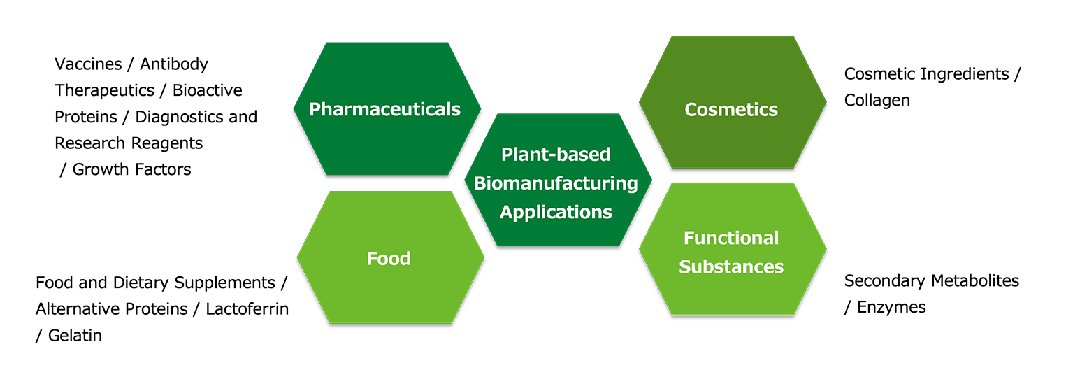 Main Applications