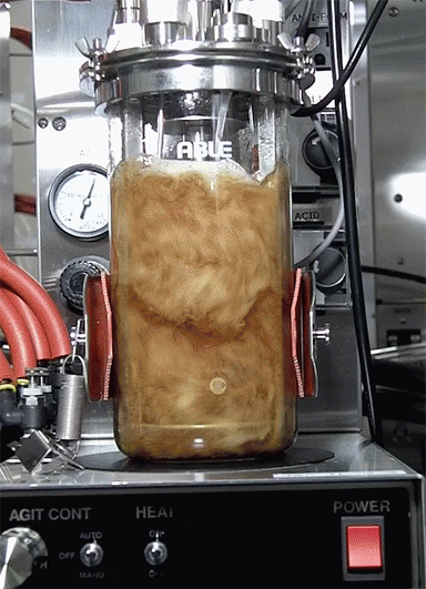 Video of blending test