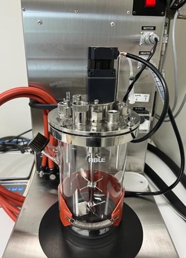 Laboratory-scale (2L) bioreactor