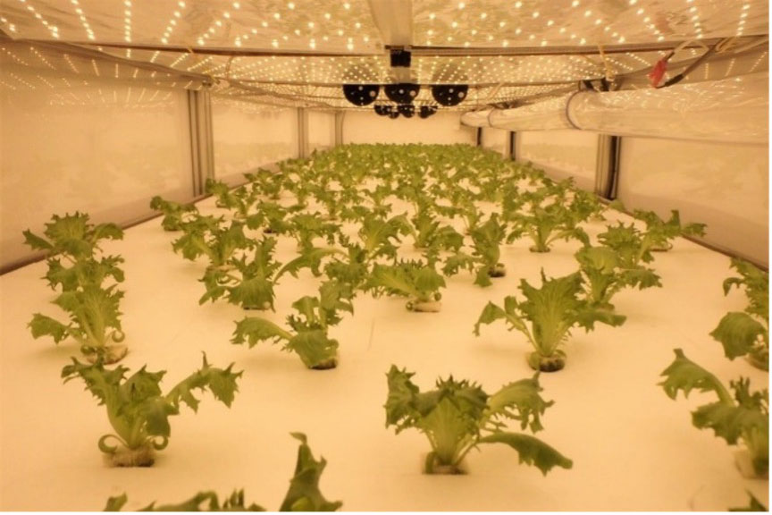 Cultivation Shelves